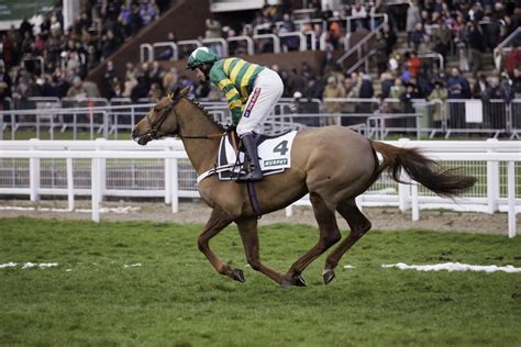 Cheltenham Betting Tips 2024 » Betfair™ Blog.